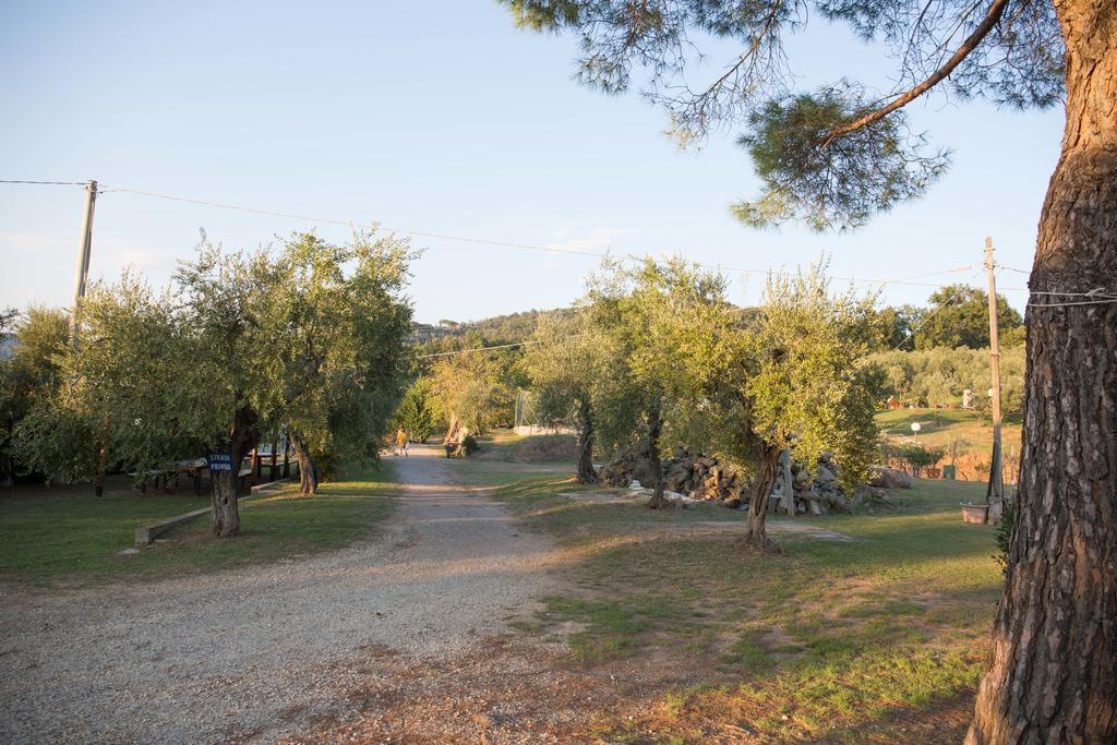Agriturismo Poggetto Larciano ภายนอก รูปภาพ